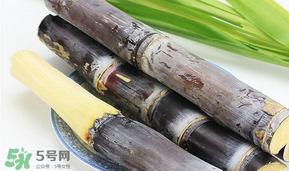 臘月吃什么？臘月吃什么好？