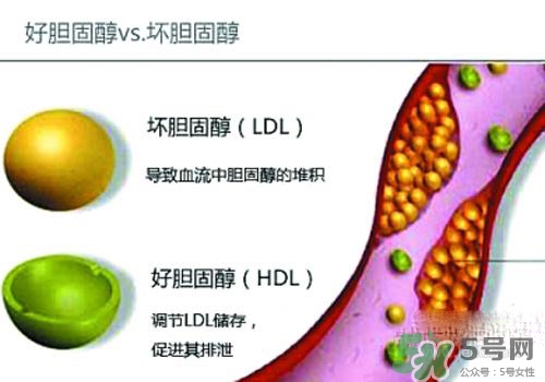 膽固醇高是血脂稠嗎？膽固醇高和血脂稠有什么聯(lián)系？