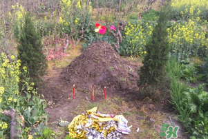 臘月可以上墳嗎？臘月上墳時間