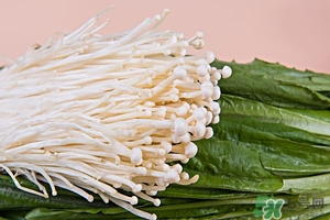 油麥菜可以生吃嗎?油麥菜生吃有什么好處