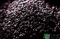 吃黑米大便會變黑嗎?大便變黑怎么辦 吃黑米大便會變黑嗎?大便變黑怎么辦