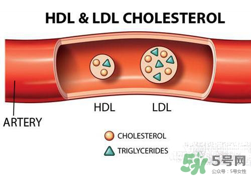 膽固醇高是血脂稠嗎？膽固醇高和血脂稠有什么聯(lián)系？