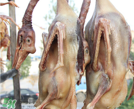 臘鵝怎么腌制？臘鵝的腌制方法