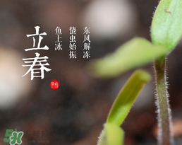 立春吃什么蔬菜？立春時令蔬菜推薦