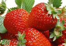 立春吃什么水果？立春養(yǎng)生水果推薦