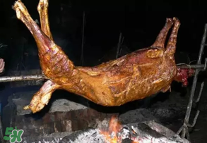 烤全羊多少錢一只？烤全羊用的什么羊？