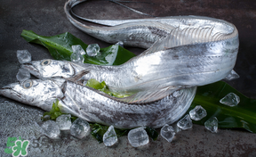 帶魚(yú)多少錢(qián)一斤？帶魚(yú)多少錢(qián)一箱？