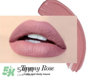 Jouer唇釉色號 Jouer唇釉試色 Jouer唇釉色號 Jouer唇釉試色