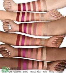 Jouer唇釉色號 Jouer唇釉試色 Jouer唇釉色號 Jouer唇釉試色