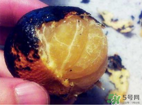 橘子烤著吃會(huì)上火嗎？烤橘子上火嗎？