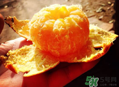 烤橘子可以用煤氣灶嗎？橘子用煤氣灶烤有毒嗎？