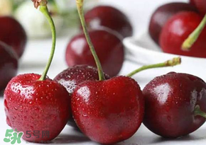 冬天車厘子如何保存？冬天車厘子要放冰箱嗎？