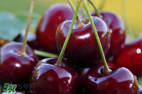 冬天可以吃車厘子嗎？冬天的車厘子能吃嗎？