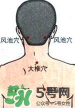 膏肓的準(zhǔn)確位置圖 膏肓穴痛跟什么有關(guān) 膏肓的準(zhǔn)確位置圖 膏肓穴痛跟什么有關(guān)