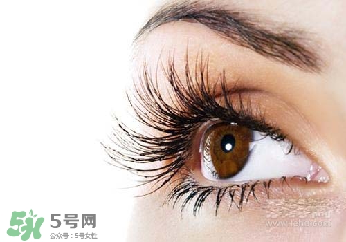 潤唇膏可以增長睫毛嗎？潤唇膏怎樣增長睫毛？