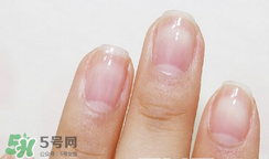 豹紋美甲圖片2017 豹紋美甲怎么畫 豹紋美甲圖片2017 豹紋美甲怎么畫