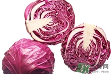 紫甘藍(lán)是轉(zhuǎn)基因食品嗎？紫甘藍(lán)是轉(zhuǎn)基因蔬菜嗎？