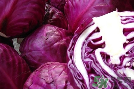 紫甘藍(lán)是轉(zhuǎn)基因食品嗎？紫甘藍(lán)是轉(zhuǎn)基因蔬菜嗎？