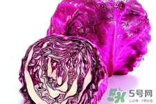 涼拌紫甘藍(lán)用焯水嗎？紫甘藍(lán)涼拌需要焯水嗎？