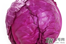 紫甘藍熱量高嗎？吃紫甘藍可以減肥嗎？