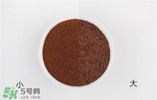 海藻面膜大顆粒好還是小顆粒好?海藻面膜怎么選擇? 海藻面膜大顆粒好還是小顆粒好?海藻面膜怎么選擇?