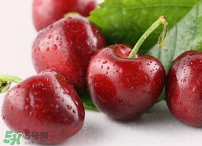 為什么吃車?yán)遄訒亲?？吃車?yán)遄永亲釉趺崔k？