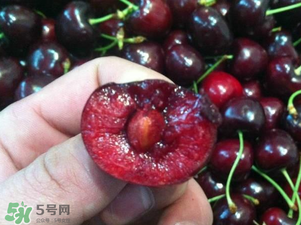 車?yán)遄恿验_能吃嗎？車?yán)遄訛槭裁磿验_？