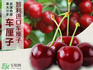 車?yán)遄恿验_能吃嗎？車?yán)遄訛槭裁磿验_？