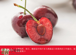 車厘子哪里產(chǎn)的最好？車厘子產(chǎn)地在哪里？