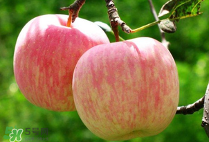 蘋果裂口怎么回事？蘋果裂口能不能吃？