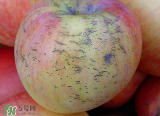 蘋果裂紋能吃嗎？蘋果裂紋是怎么回事？