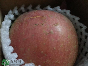蘋果裂紋能吃嗎？蘋果裂紋是怎么回事？