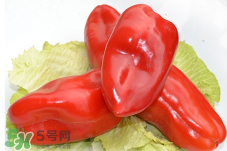 紅椒怎么保存？紅椒的儲(chǔ)存方法