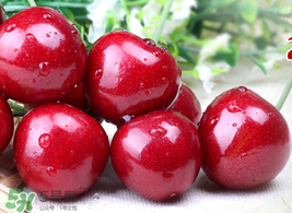 車?yán)遄涌梢詭巷w機(jī)嗎？車?yán)遄幽軒巷w機(jī)嗎？