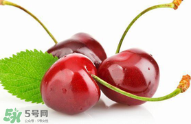 車?yán)遄涌梢詭巷w機(jī)嗎？車?yán)遄幽軒巷w機(jī)嗎？