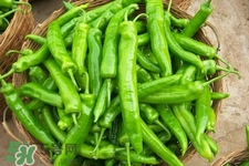 尖椒可以天天吃嗎？尖椒吃多了好嗎？