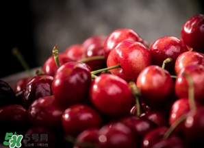 車?yán)遄邮裁醇竟?jié)吃？車?yán)遄邮鞘裁醇竟?jié)的水果？