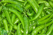 尖椒怎么保存？尖椒的儲存方法