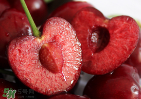 車厘子是不是轉基因水果？車厘子是轉基因嗎？