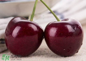 車?yán)遄邮裁磿r(shí)候吃最好？車?yán)遄右惶焓裁磿r(shí)候吃營(yíng)養(yǎng)吸收最好？