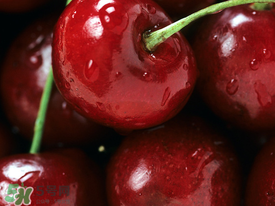 車?yán)遄邮裁磿r(shí)候吃最好？車?yán)遄右惶焓裁磿r(shí)候吃營(yíng)養(yǎng)吸收最好？