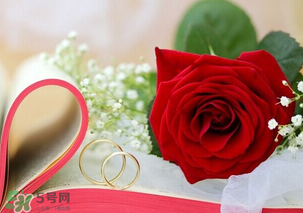 情人節(jié)送什么顏色的玫瑰花好？情人節(jié)送幾朵玫瑰花好？