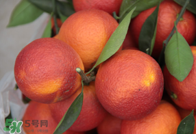 血橙多少錢一斤？四川血橙多少錢一斤？