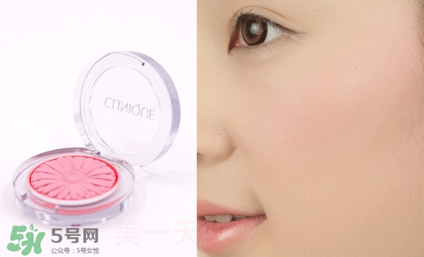 腮紅哪個牌子好_腮紅哪個牌子好用 腮紅哪個牌子好_腮紅哪個牌子好用