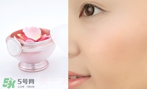 腮紅哪個牌子好_腮紅哪個牌子好用 腮紅哪個牌子好_腮紅哪個牌子好用