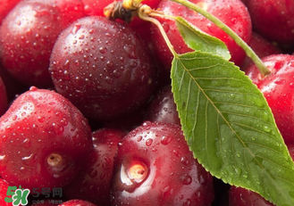 吃車厘子會便秘嗎？車厘子吃多了會便秘嗎？