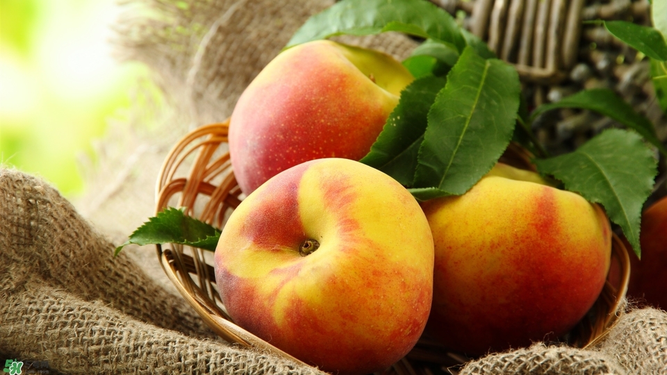 冬天蘋果太涼怎么吃？冬天蘋果太涼怎么給寶寶吃？