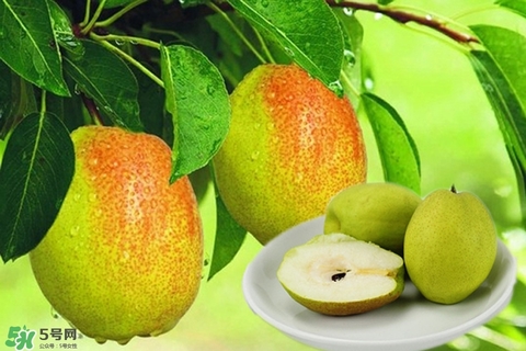 來月經(jīng)可以吃香梨嗎？月經(jīng)期間可以吃香梨嗎？