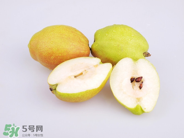 庫(kù)爾勒香梨分公母嗎？庫(kù)爾勒香梨怎么分公母？