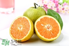 蘆柑能放冰箱嗎?剛摘的蘆柑怎么保存 蘆柑能放冰箱嗎?剛摘的蘆柑怎么保存